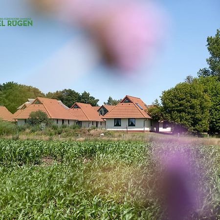 Jugendtours-Feriendorf Ummanz Εξωτερικό φωτογραφία