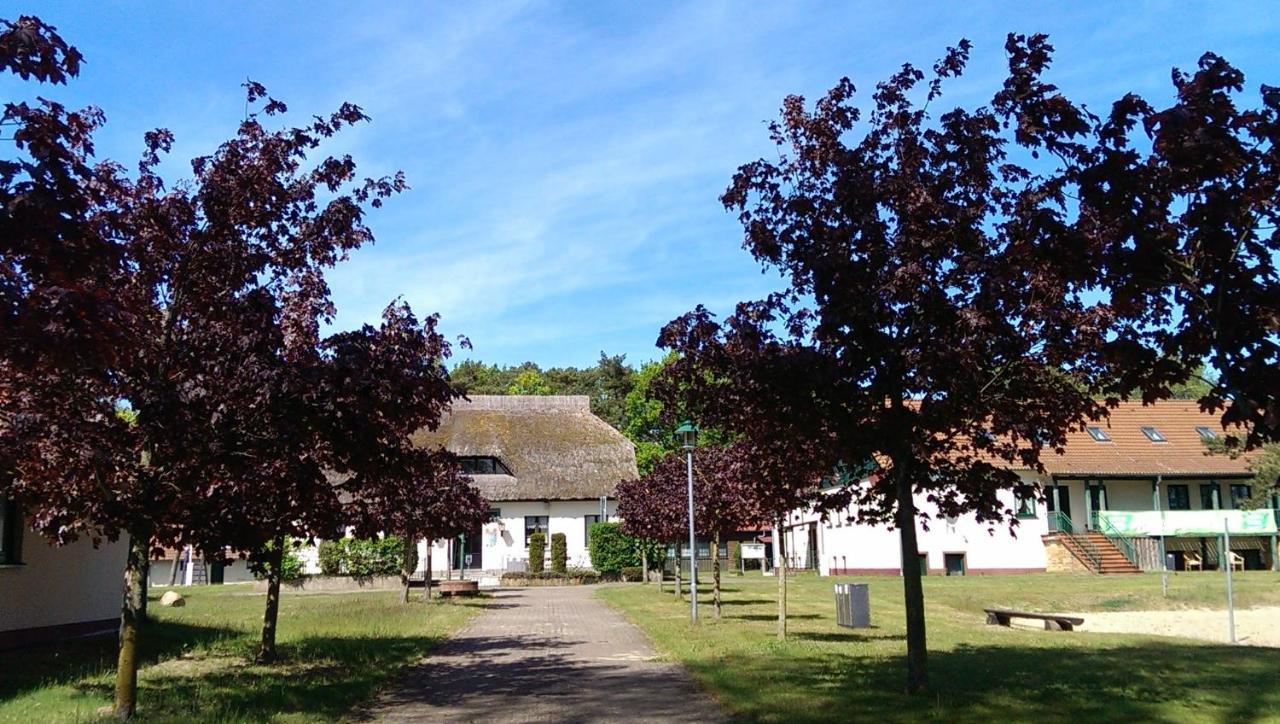 Jugendtours-Feriendorf Ummanz Εξωτερικό φωτογραφία